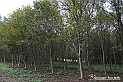 VBS_7824 - Là, dove finisce la strada, comincia un mondo